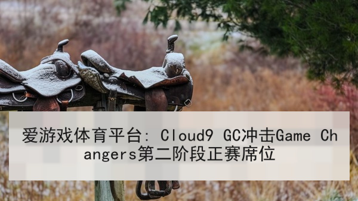 爱游戏体育平台: Cloud9 GC冲击Game Changers第二阶段正赛席位