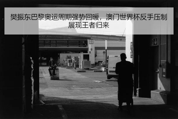樊振东巴黎奥运周期强势回暖，澳门世界杯反手压制展现王者归来