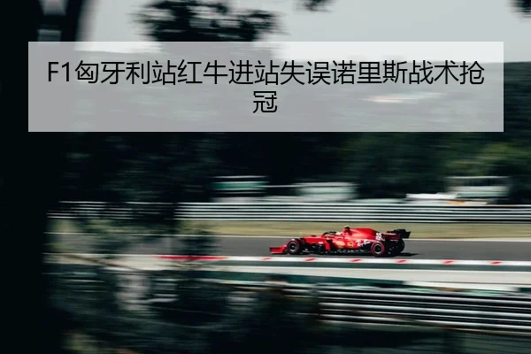 xiong-ya-li-zhan-hong-niu-jin-zhan-shi-wu-nuo-li-si-zhan-shu-qiang-guan-2-936.jpg