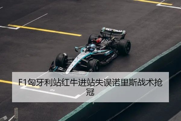 xiong-ya-li-zhan-hong-niu-jin-zhan-shi-wu-nuo-li-si-zhan-shu-qiang-guan-3-461.jpg
