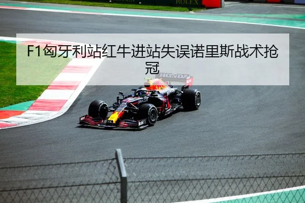 F1匈牙利站红牛进站失误诺里斯战术抢冠