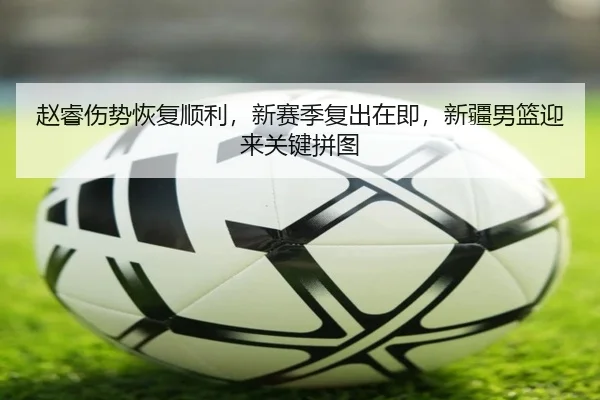 zhao-rui-shang-shi-hui-fu-shun-li-xin-sai-ji-fu-chu-zai-ji-xin-jiang-nan-lan-ying-lai-guan-jian-pin-tu-2-439.jpg