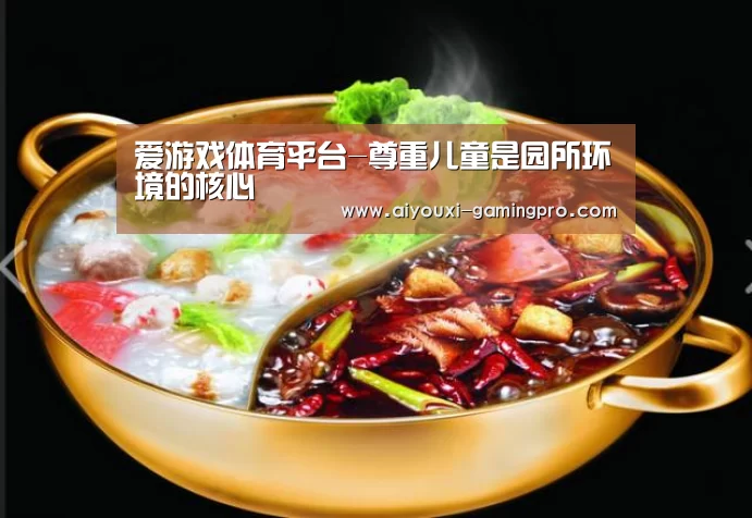爱游戏体育平台